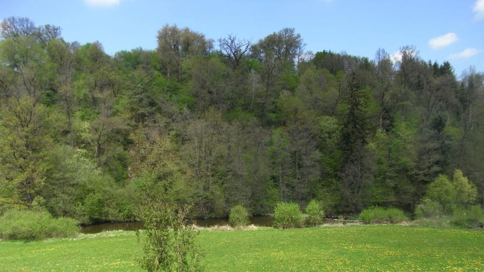 Garden, Area and facilities