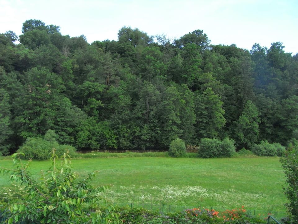Facade/entrance, Garden