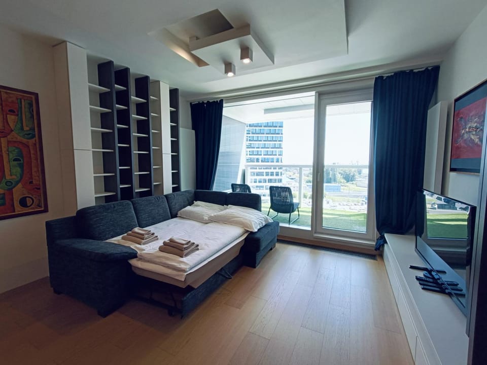 TV and multimedia, View (from property/room), Living room