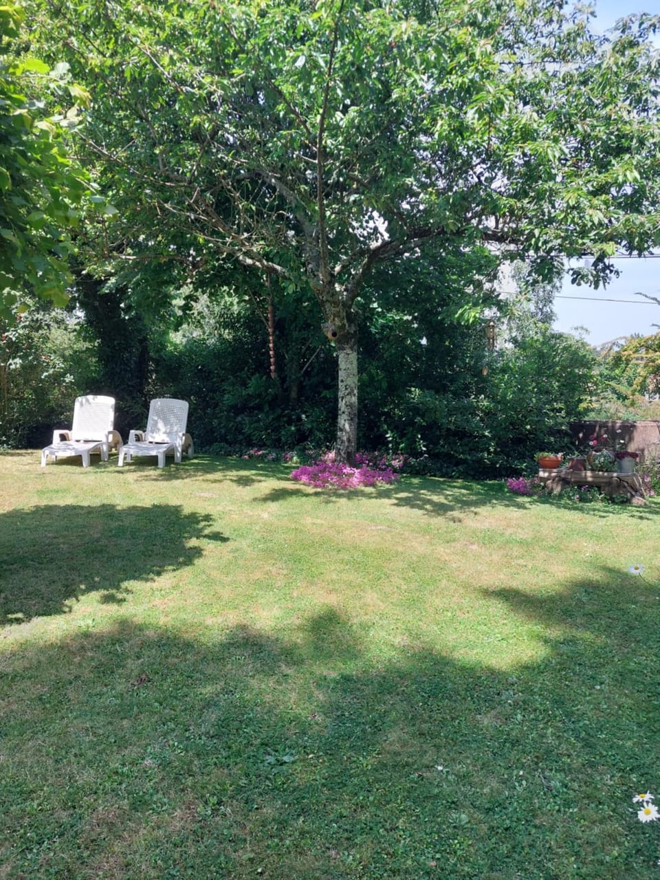 Garden, Garden view