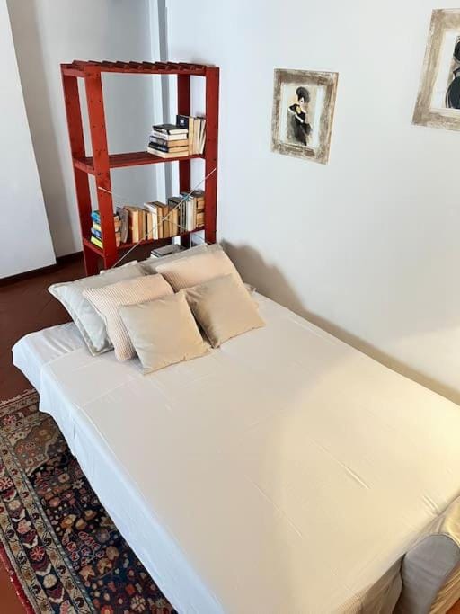 Bed, Library, Photo of the whole room