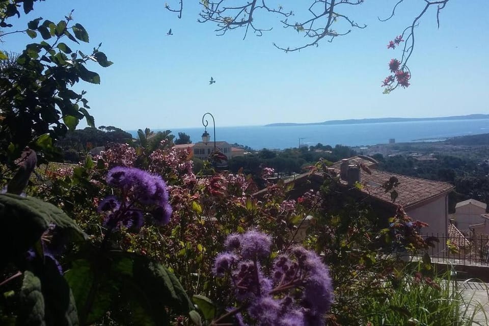 Studio 4 pers coeur du Lavandou Apartment in Le Lavandou