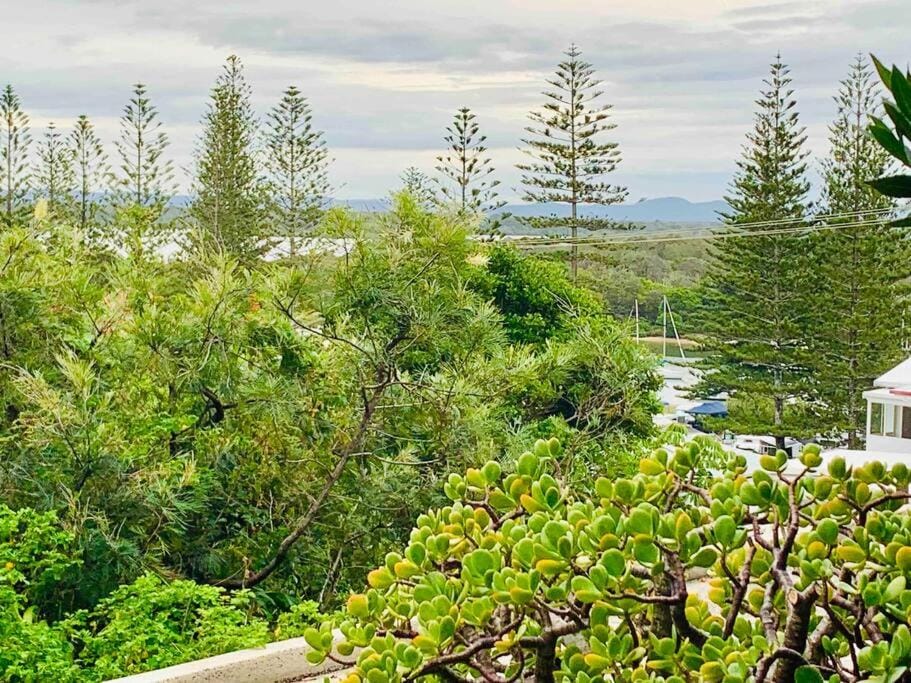 Tequila Sunset Apartment in Yamba