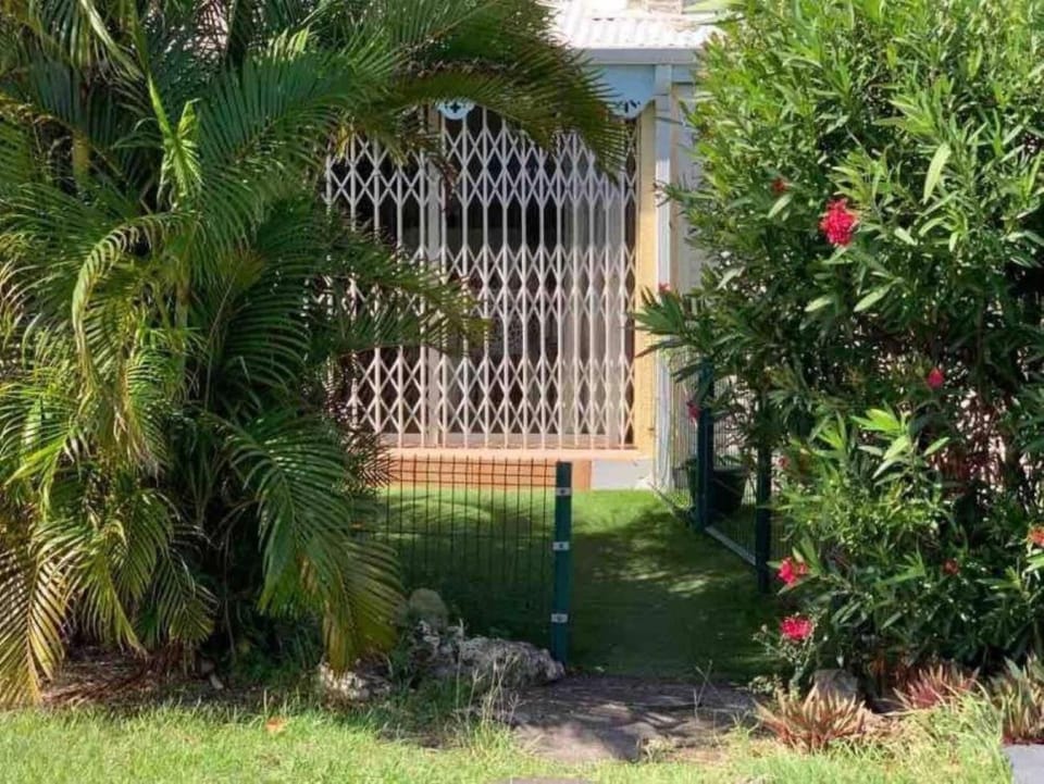 Day, Garden, Garden view