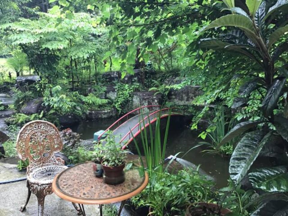 Garden view