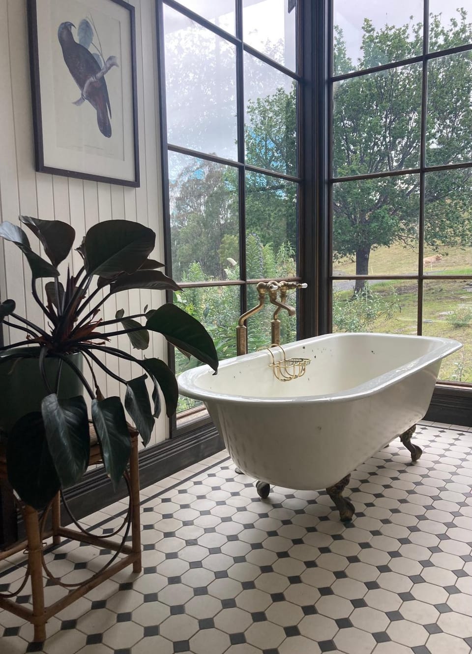 Bathroom, Garden view, Bath