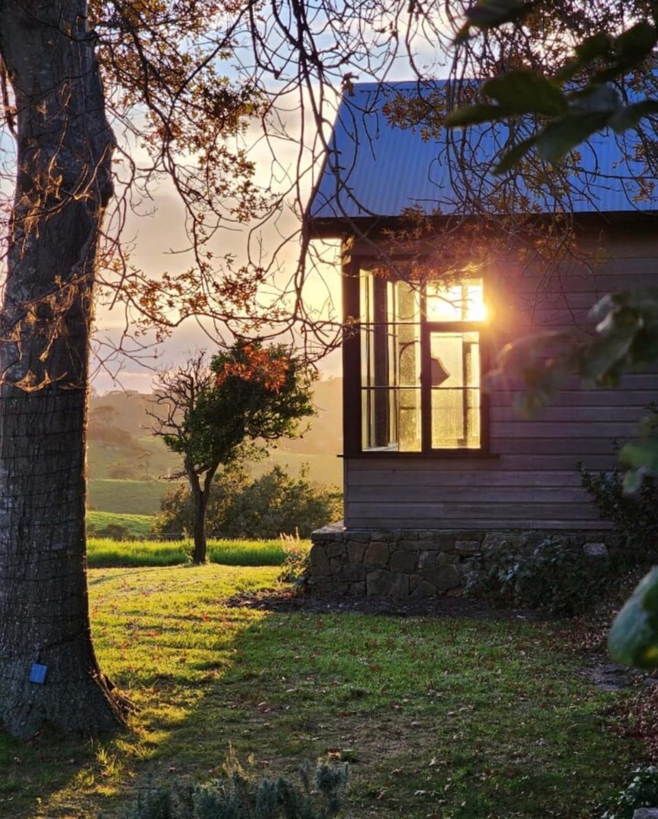 Garden view, Sunrise