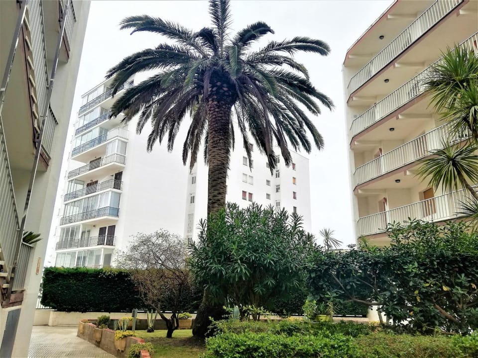 Apartamento en 2ª línea de playa con terraza, parking y WIFI, cerca de comercios. - ES-258-119 Apartment in Roses