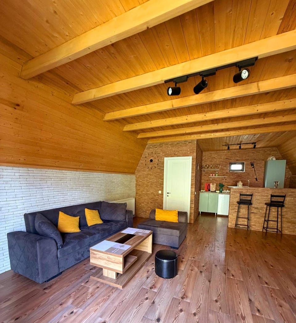 Kitchen or kitchenette, Living room, Seating area, Dining area