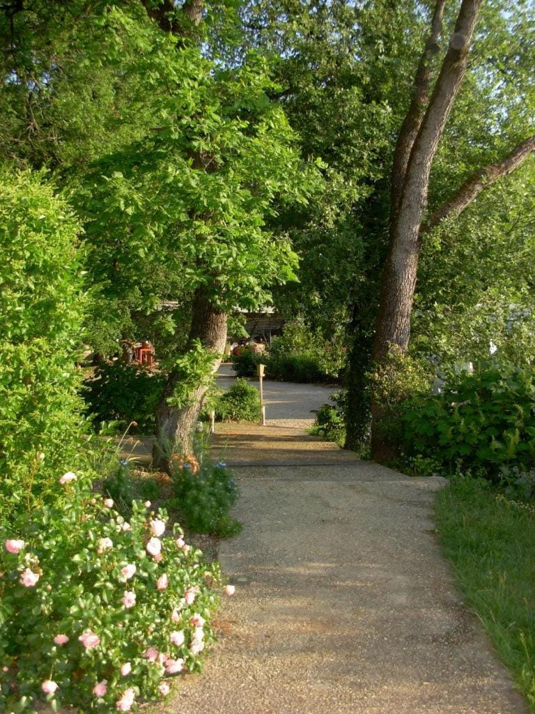 La Maison de Lestang Bed and Breakfast in Occitanie