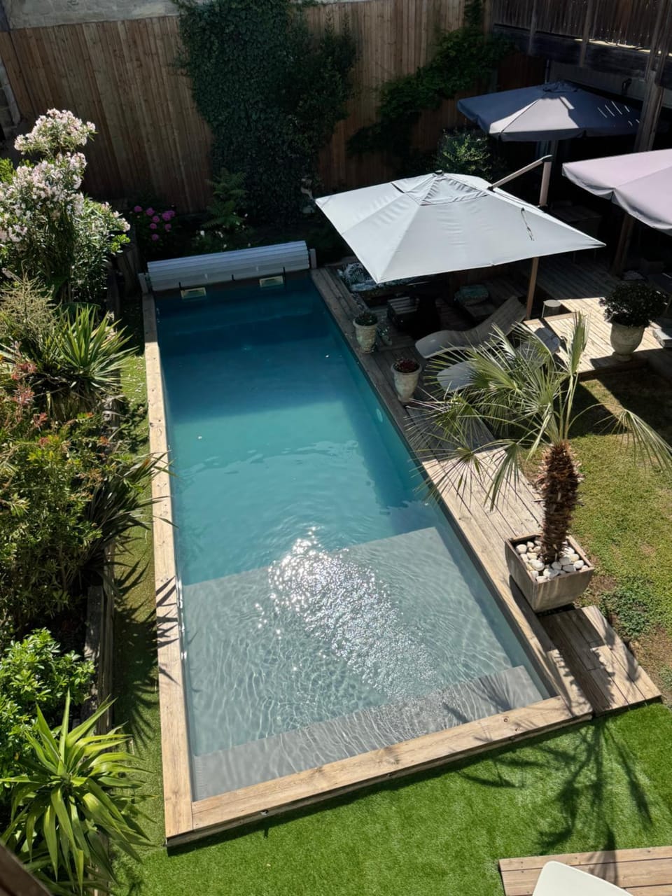 Garden, Garden view, Pool view, Swimming pool, sunbed