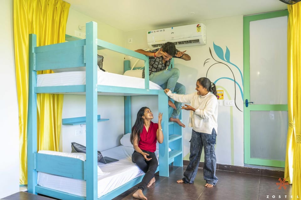 People, Photo of the whole room, group of guests, bunk bed