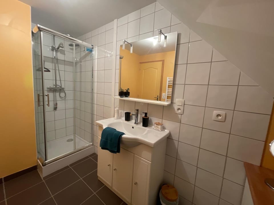 Shower, Bathroom, towels