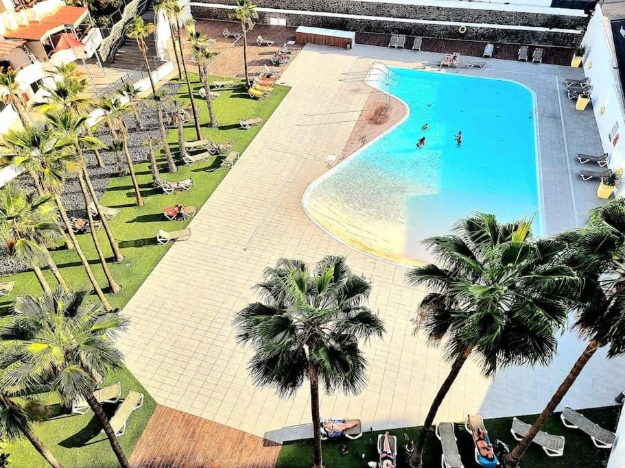Bird's eye view, Pool view, Swimming pool, sunbed