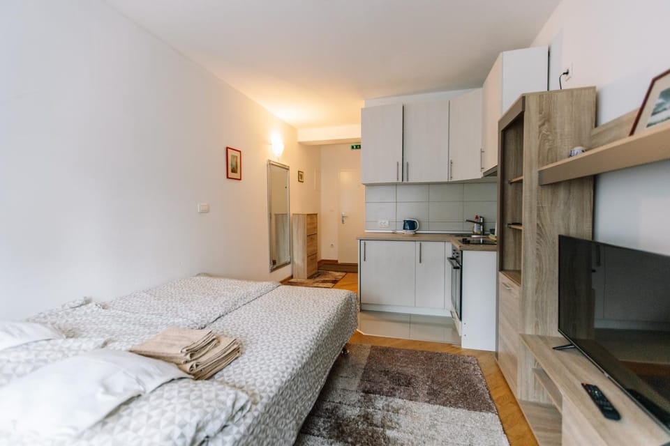 Bed, TV and multimedia, Kitchen or kitchenette, pet friendly