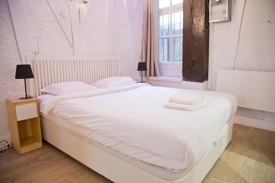 Valentine - Authentic Design Large Studio Notre-Dame Seine Walk Apartment in Paris