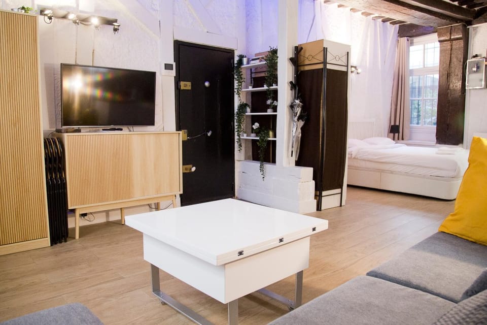 Valentine - Authentic Design Large Studio Notre-Dame Seine Walk Apartment in Paris