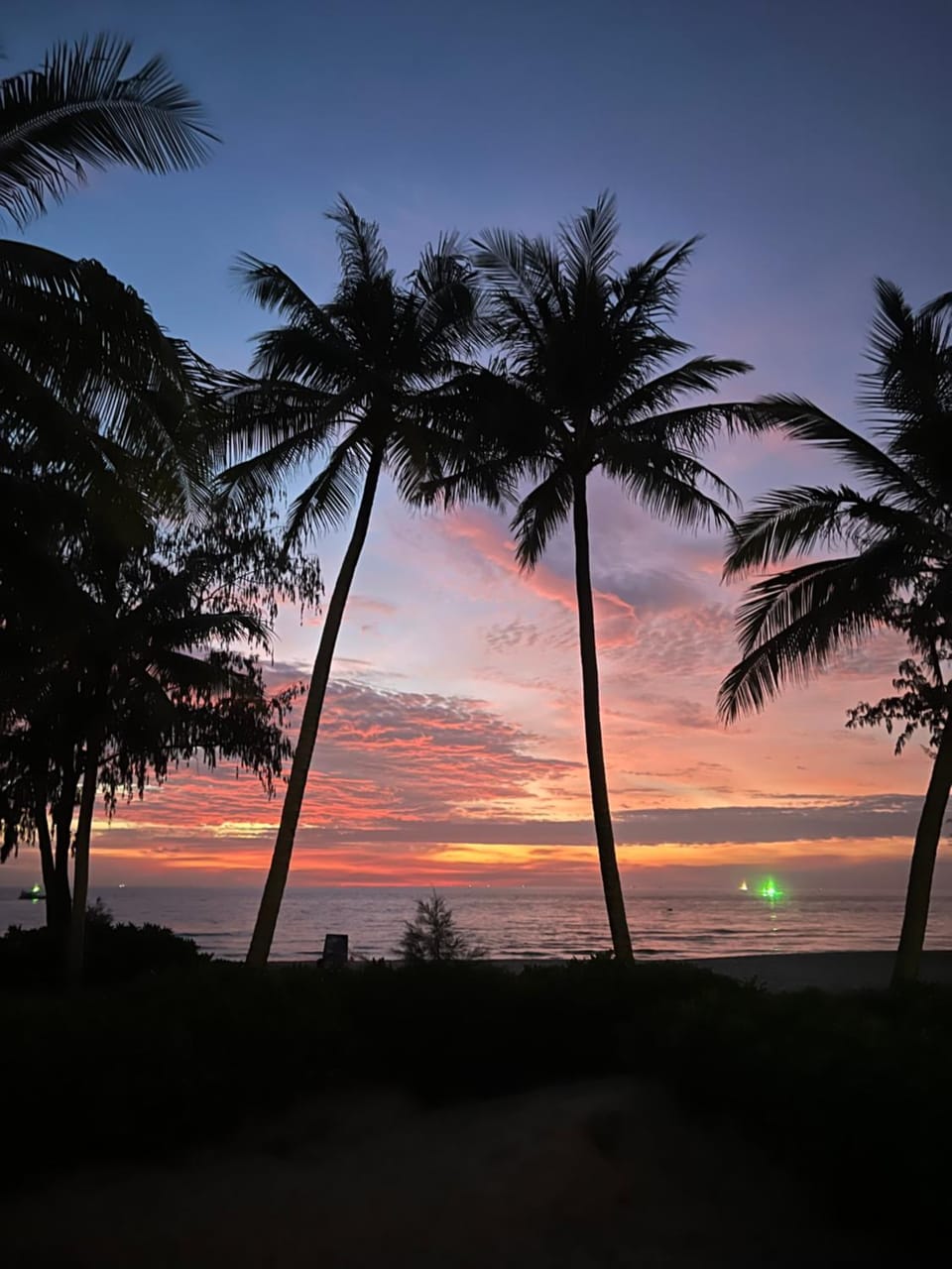 Sunset