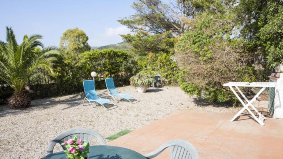 Day, Garden, Garden view, sunbed