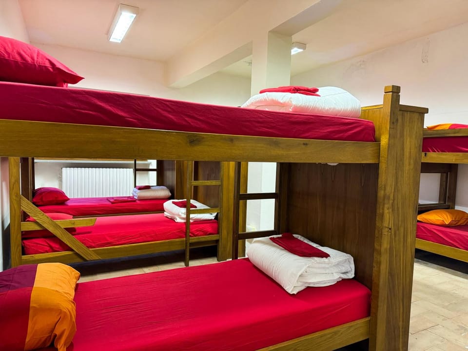 Bed, Photo of the whole room, Bedroom, bunk bed