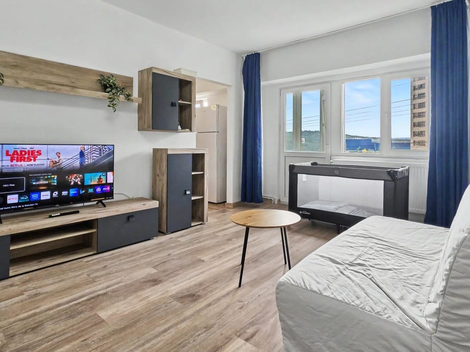 TV and multimedia, Photo of the whole room, Seating area, cot, internet, air conditioner