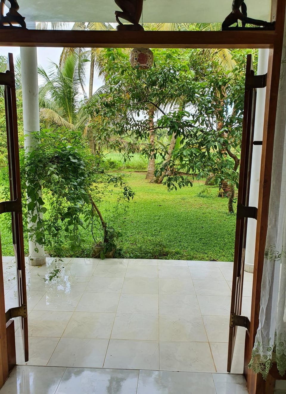 Garden view