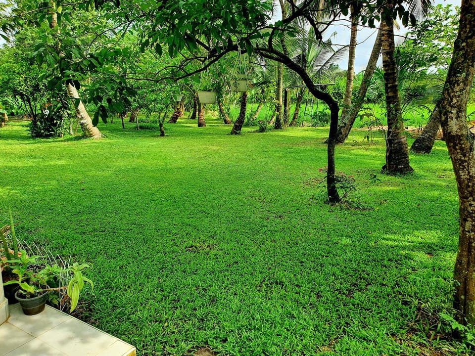 Garden view