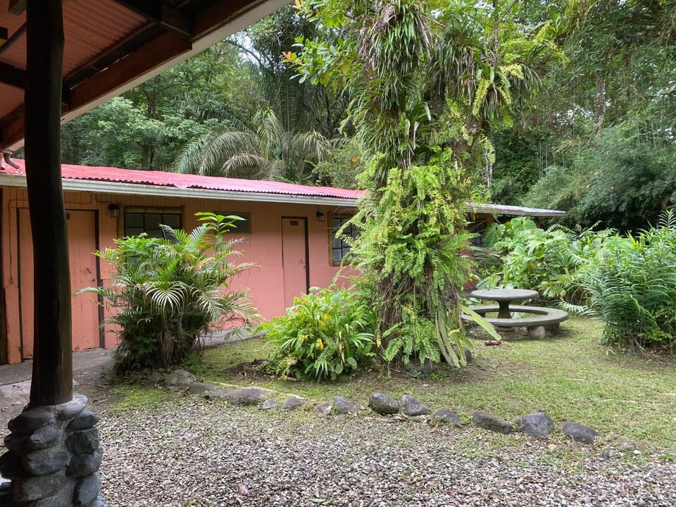 Natural landscape, Garden, Garden view