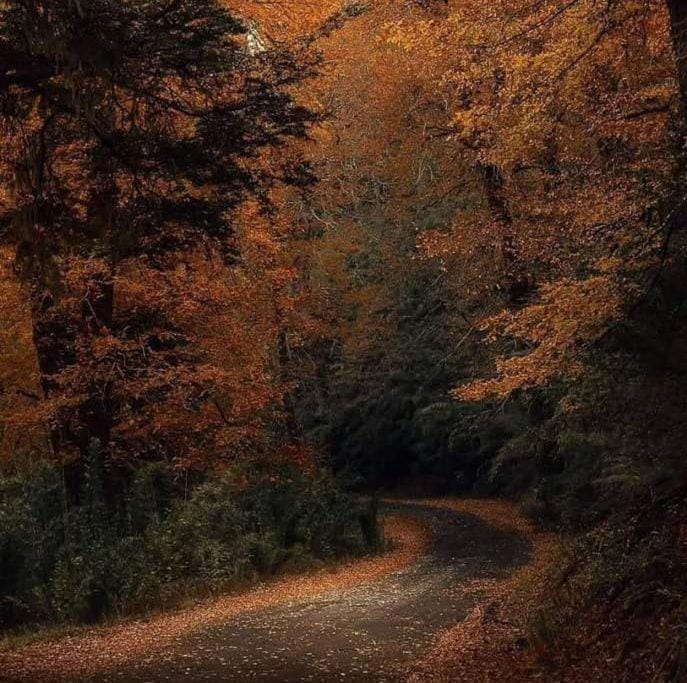 Autumn