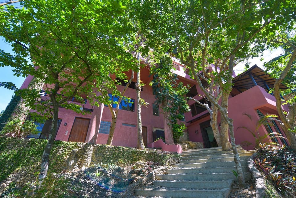 Property building, Garden view