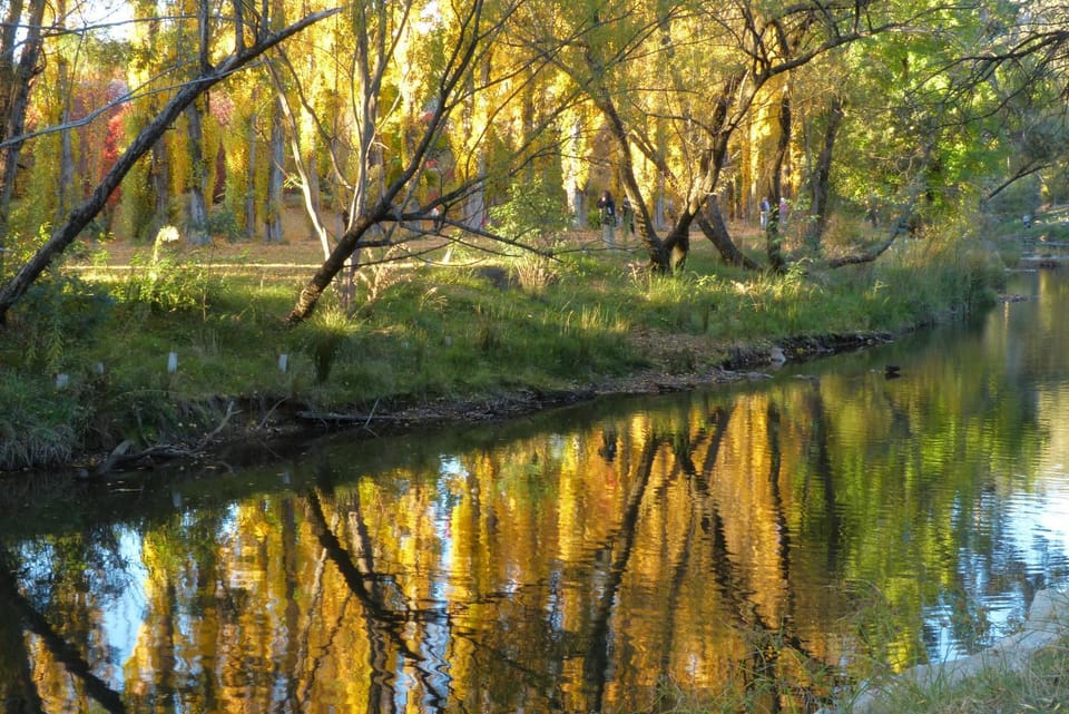 Natural landscape