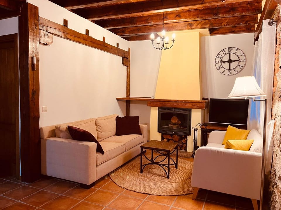 Living room, heating, pet friendly, air conditioner