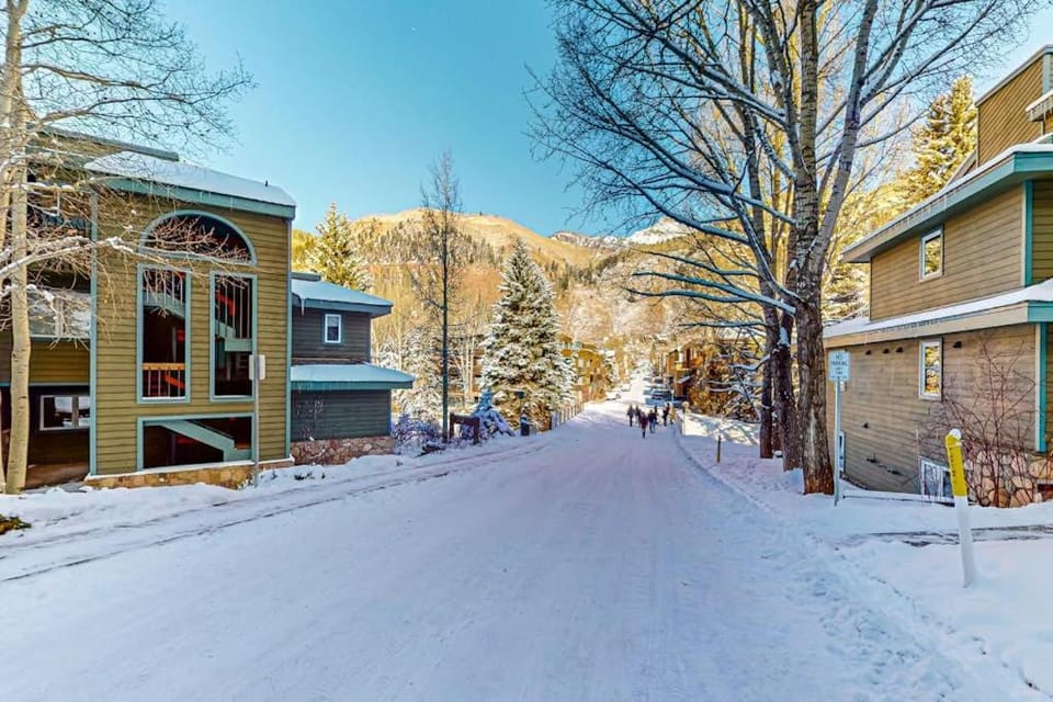 Riverside A02 - Riverside Chickadee Apartment in Telluride