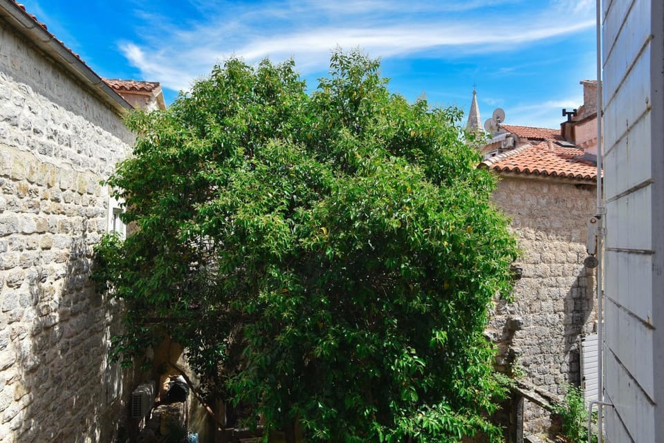 OLD TOWN 5 apartment Apartment in Budva