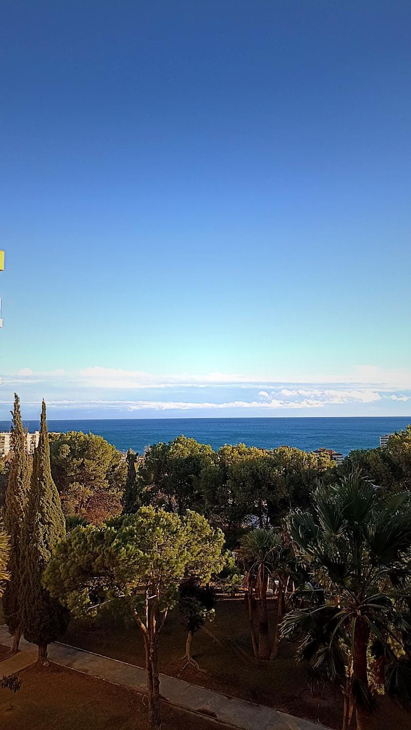 Natural landscape, Garden view, Sea view