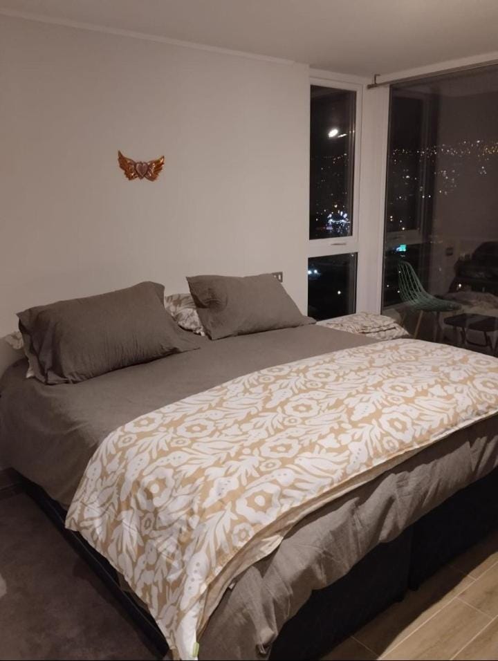 Departamento central viña Apartment in Vina del Mar