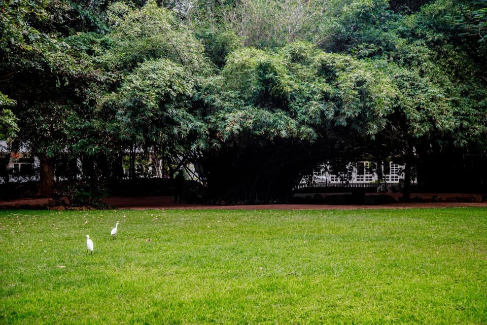 Garden, Garden view