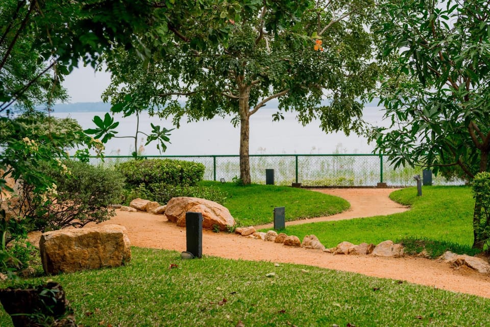 Lake view