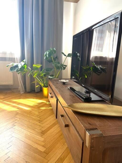 TV and multimedia