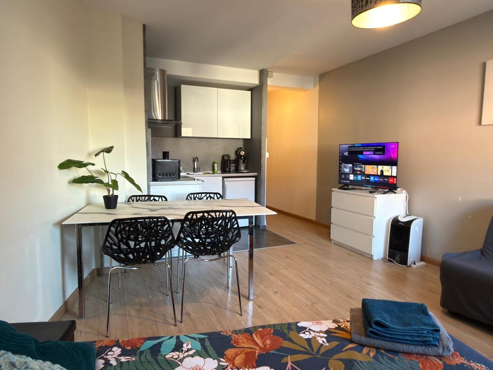 GRAND STUDIO proche du centre ville Apartment in Strasbourg