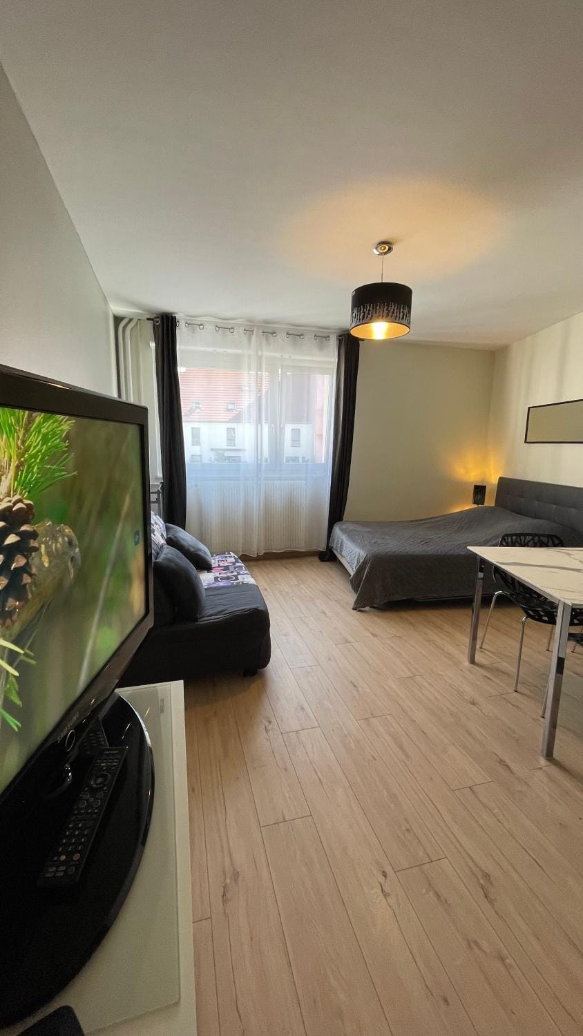Communal lounge/ TV room, TV and multimedia