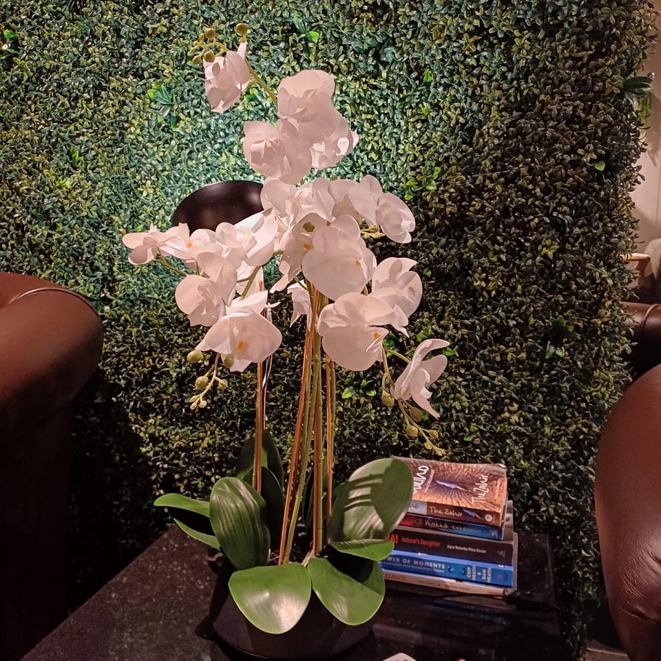 FRESH ATLANTiC OCEAN ViEW STUDiO Halaal Apartment in Sea Point