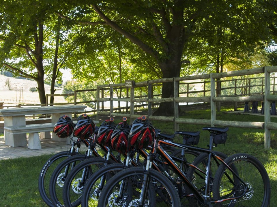 Cycling