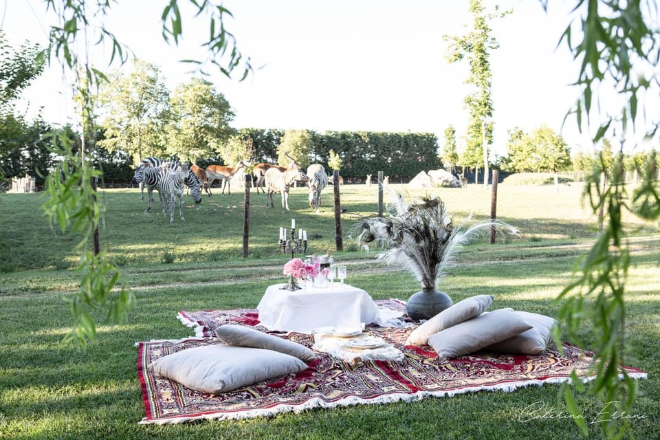 Natural landscape, Garden