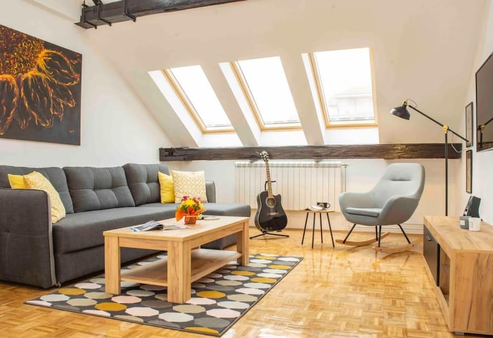 The Gallery Apartment Apartment in Novi Sad