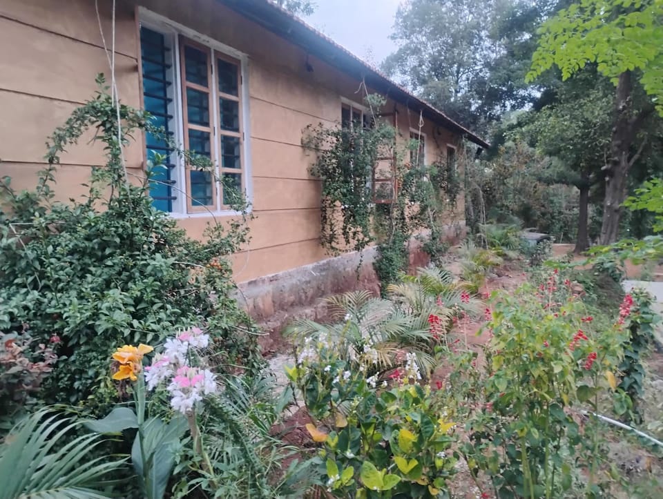 River View Guest Rooms Bed and Breakfast in Kerala
