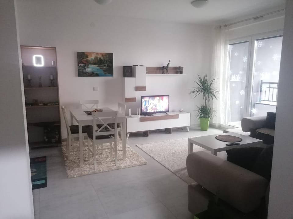 Tina 1 Apartment in Serbia