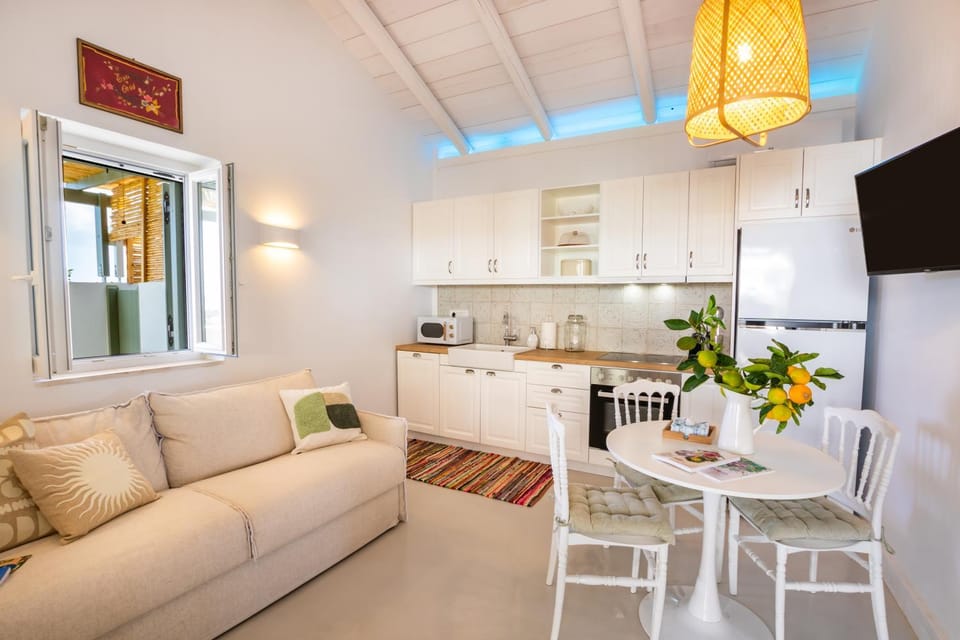 TV and multimedia, Kitchen or kitchenette, Living room, Seating area, Dining area, minibar, pet friendly, stove
