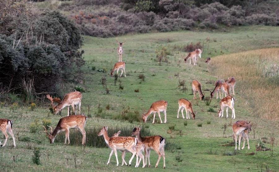 Natural landscape, Location