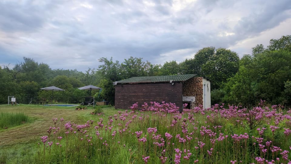 Communal kitchen, Public Bath
